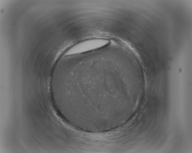 X0000064740010200602171719