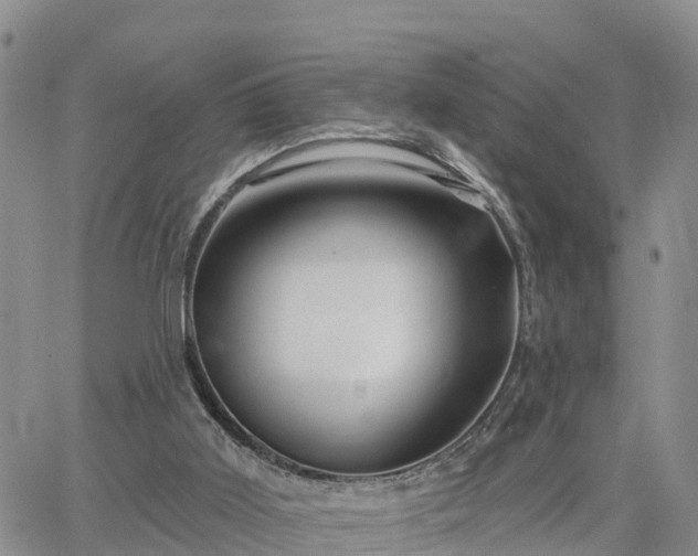 X0000064740011200602171719