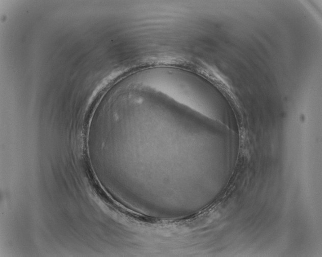 X0000064740012200602171719