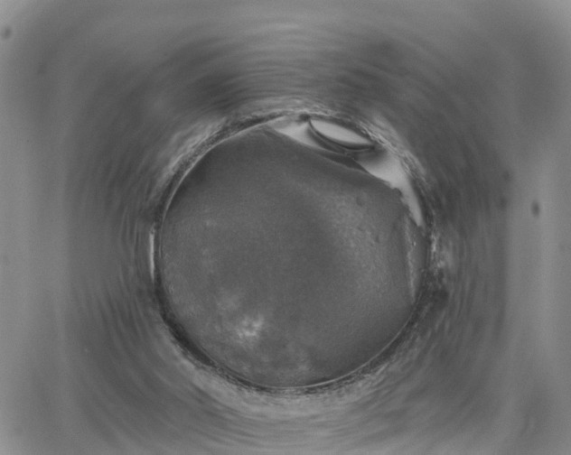 X0000064740014200602171719