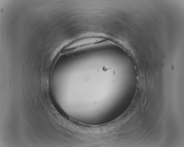 X0000064740015200602171719