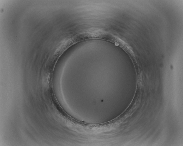 X0000064740018200602171719