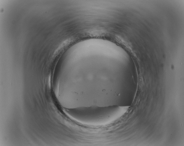 X0000064740019200602171719