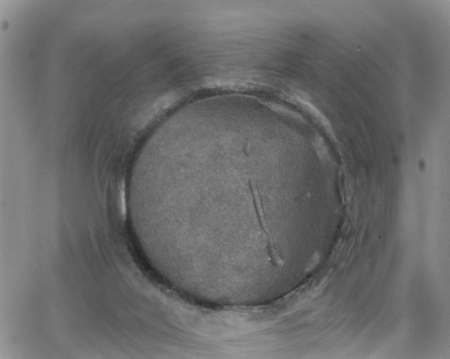 X0000064740020200602171719