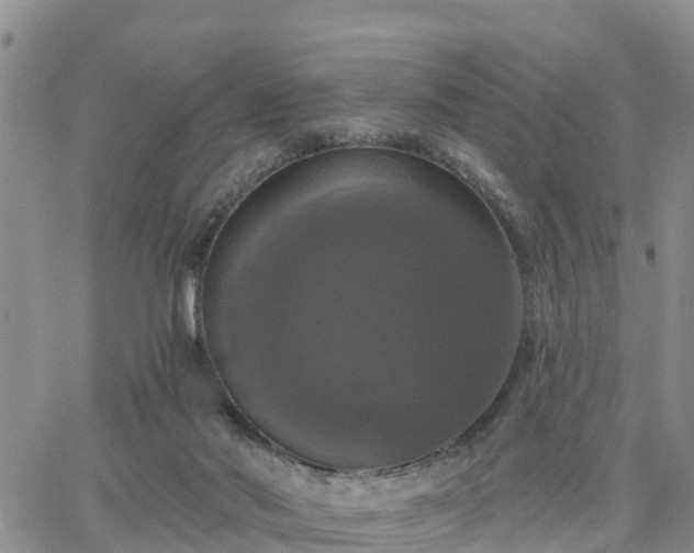 X0000064740022200602171719