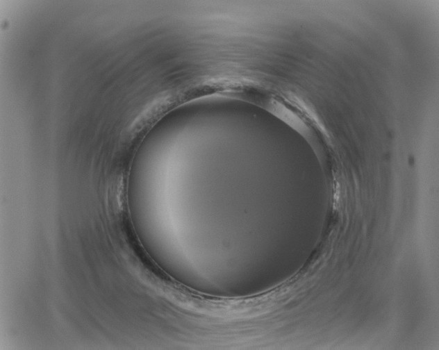 X0000064740023200602171719