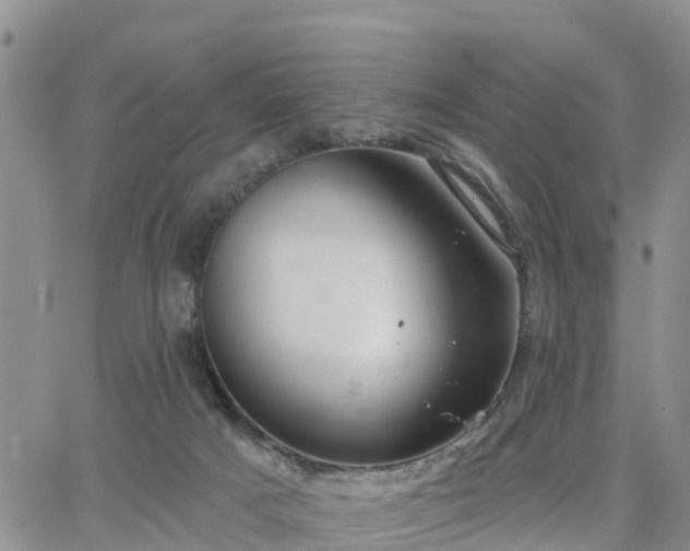 X0000064740025200602171719