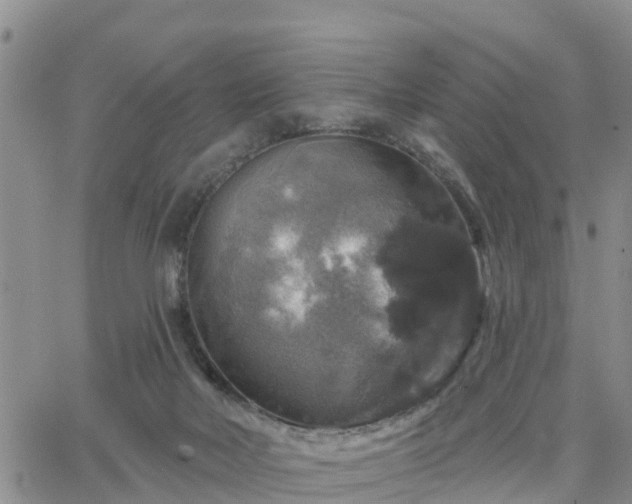 X0000064740026200602171719