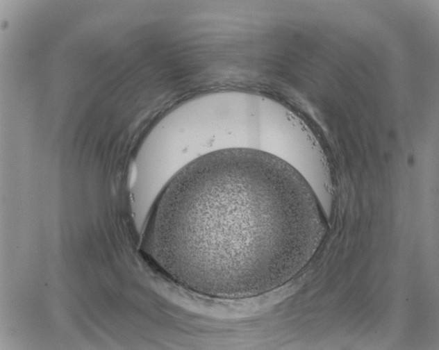 X0000064740027200602171719