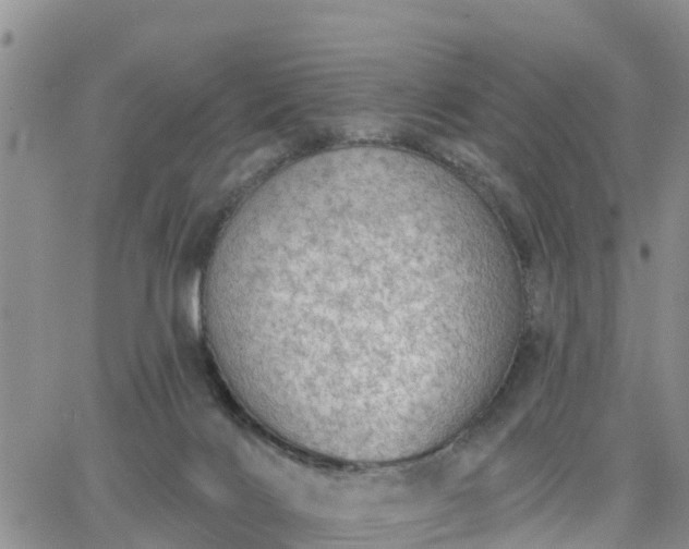 X0000064740028200602171719