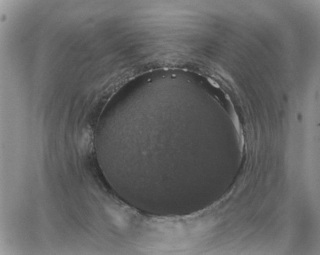 X0000064740029200602171719