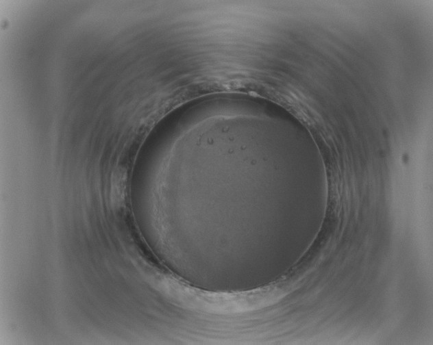 X0000064740030200602171719