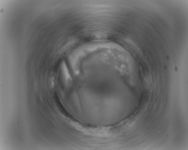 X0000064740032200602171719