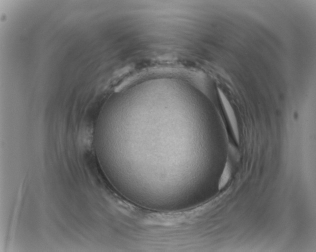 X0000064740033200602171719