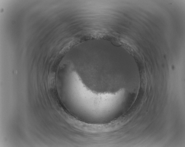 X0000064740034200602171719