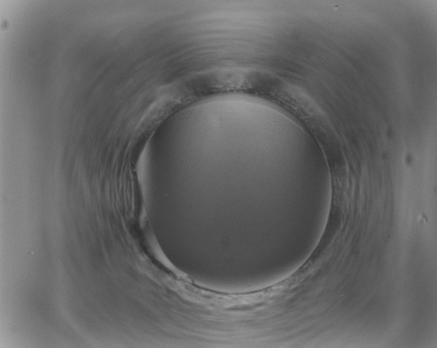 X0000064740035200602171719