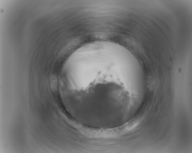 X0000064740036200602171719