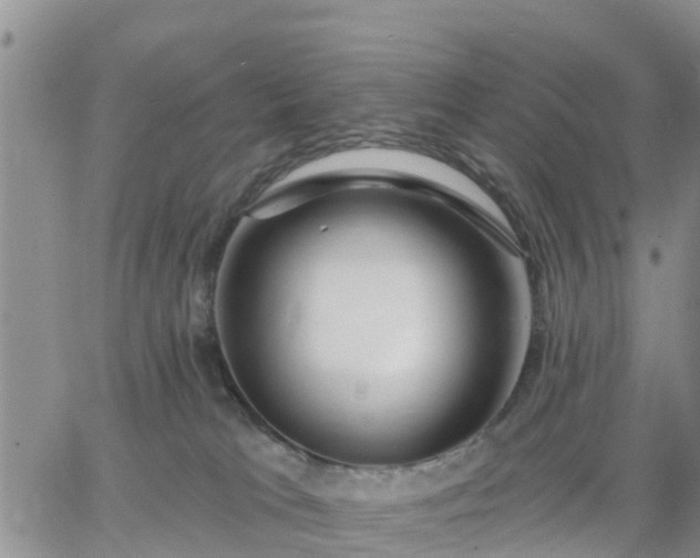 X0000064740037200602171719