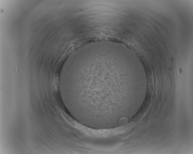 X0000064740038200602171718