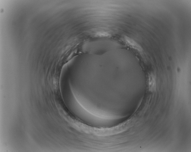 X0000064740039200602171718