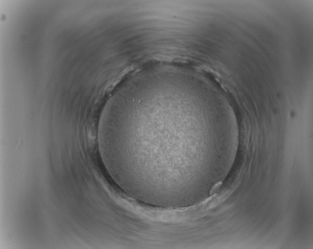 X0000064740040200602171718