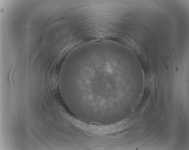 X0000064740043200602171718