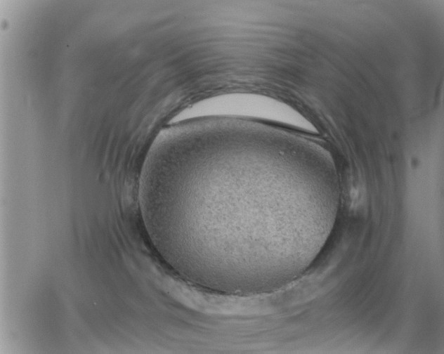 X0000064740044200602171718