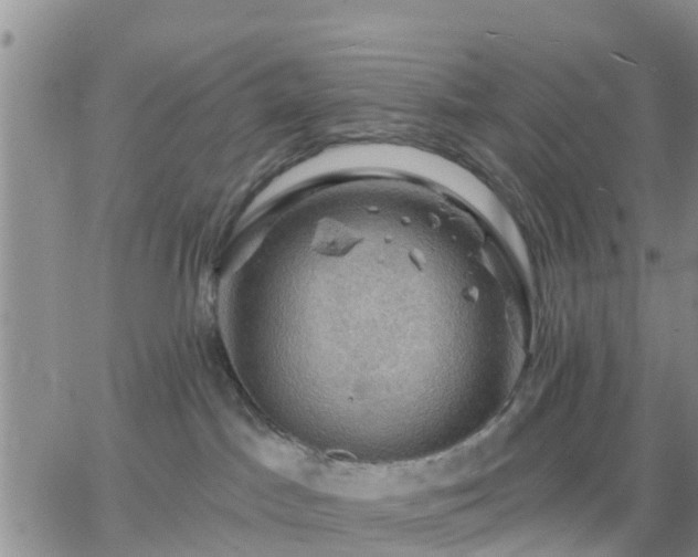 X0000064740045200602171718