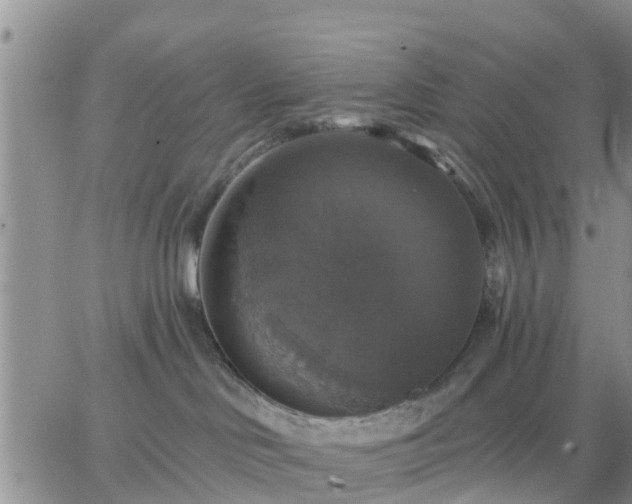 X0000064740046200602171718