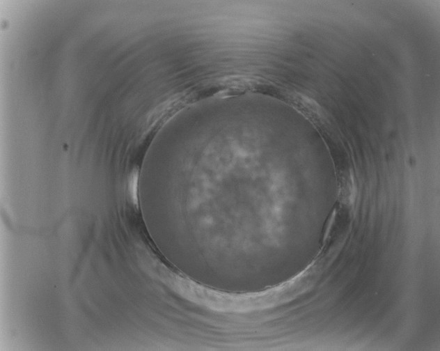 X0000064740047200602171718