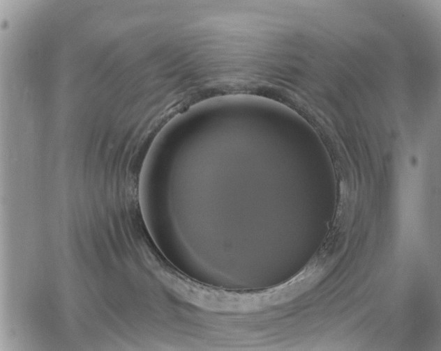 X0000064740048200602171718