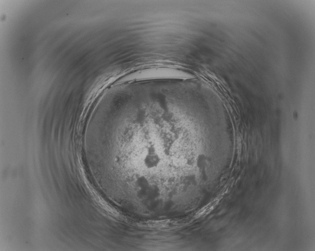 X0000064740049200602171718