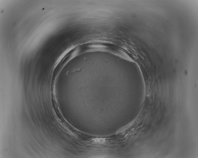 X0000064740052200602171718