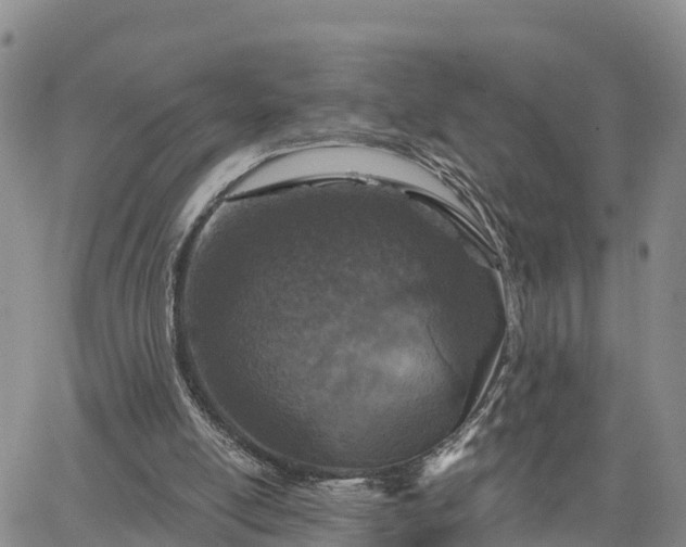 X0000064740054200602171718