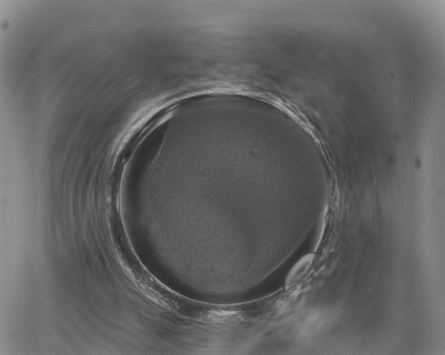 X0000064740055200602171718