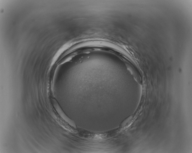 X0000064740056200602171718