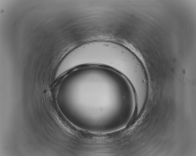 X0000064740057200602171718