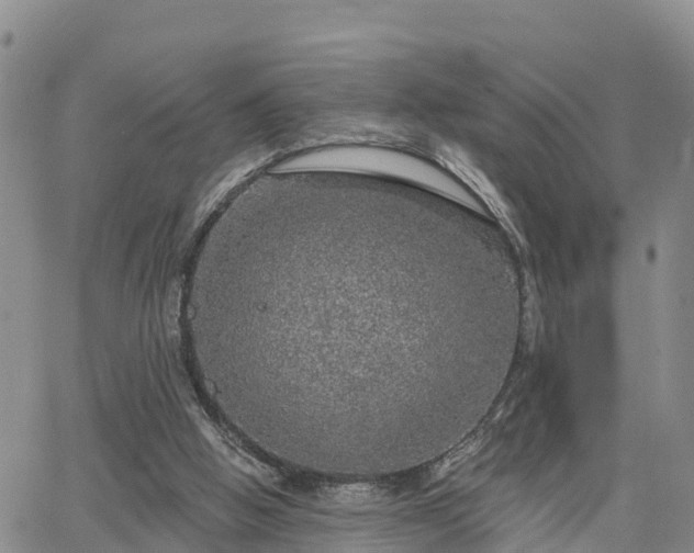 X0000064740058200602171718