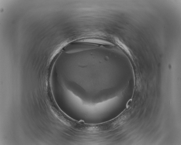 X0000064740059200602171718