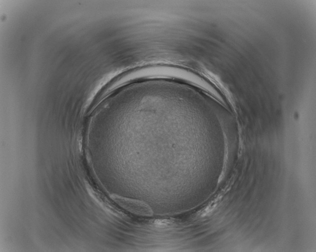 X0000064740060200602171718