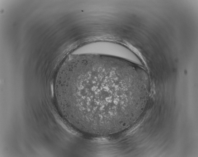 X0000064740061200602171718