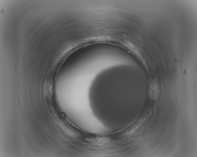 X0000064740063200602171718