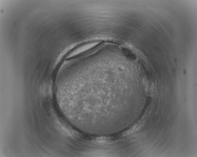 X0000064740064200602171718