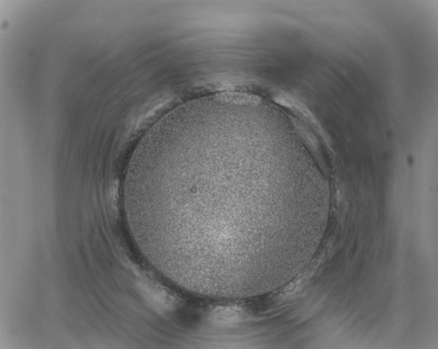 X0000064740066200602171718