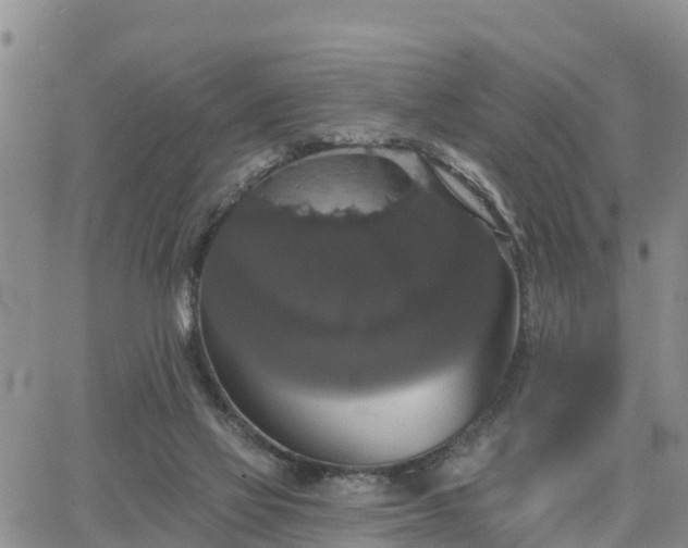 X0000064740069200602171718