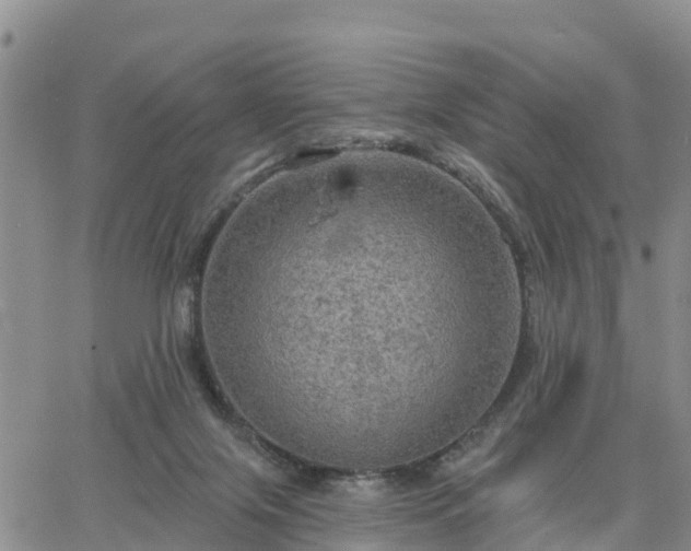 X0000064740071200602171718