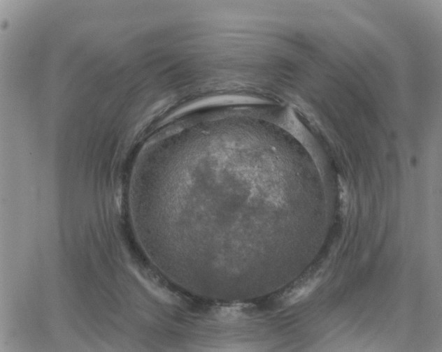 X0000064740072200602171718