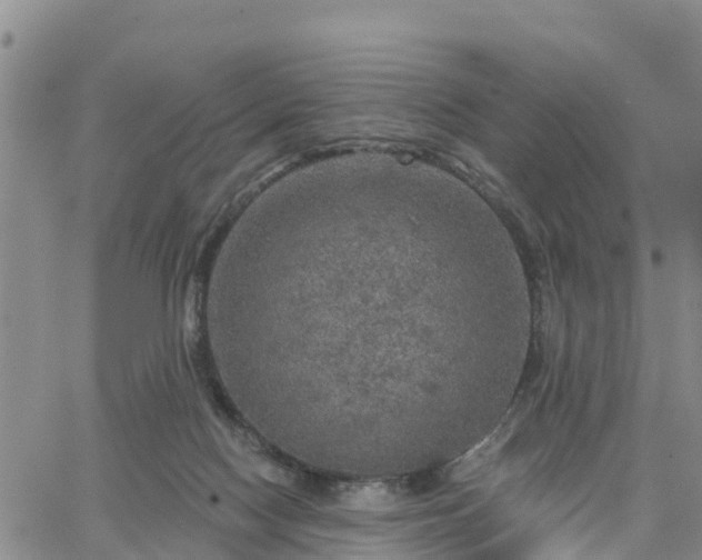 X0000064740074200602171718