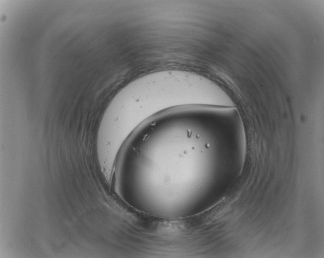 X0000064740077200602171718