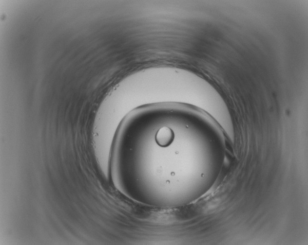 X0000064740078200602171718